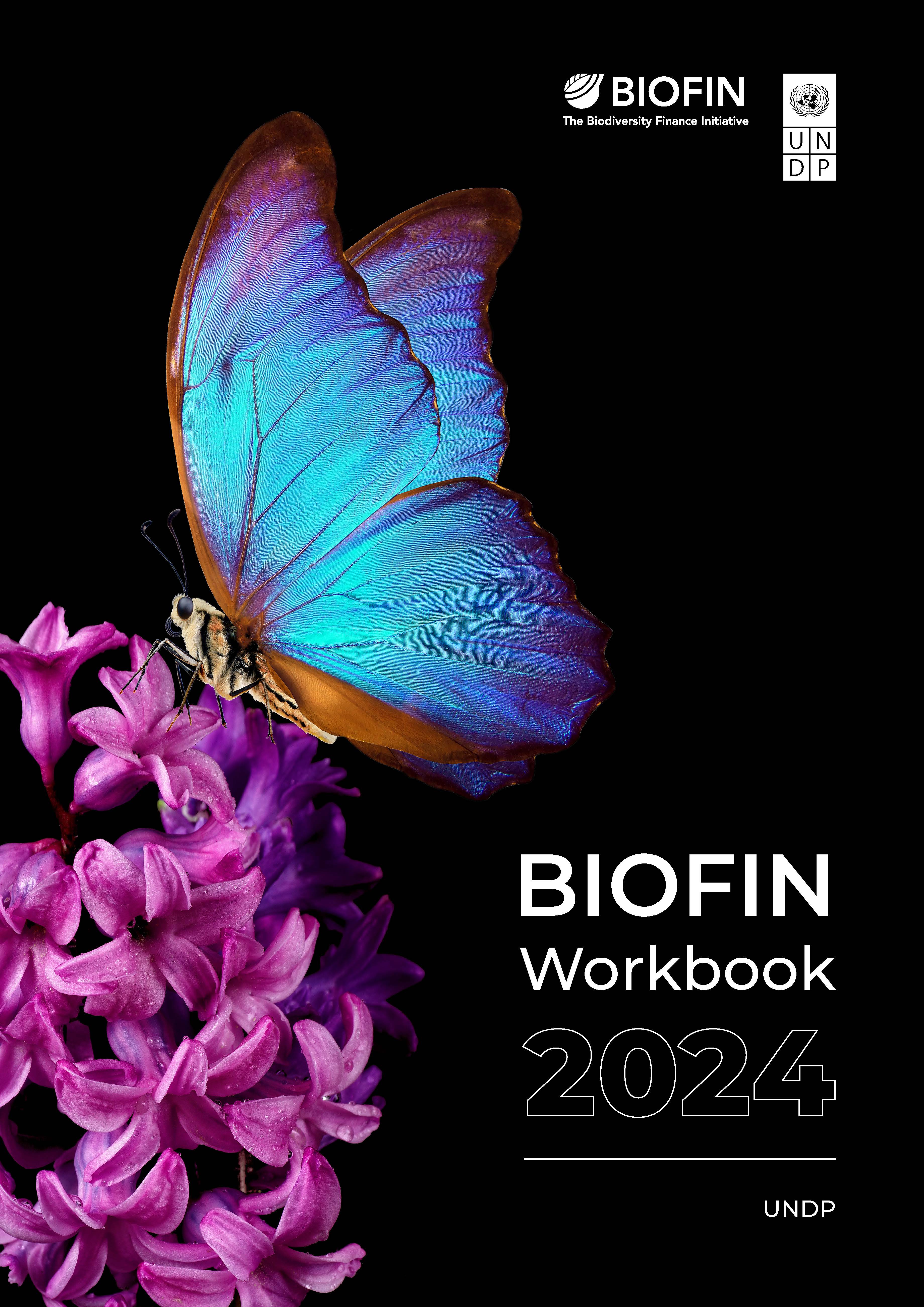 BIOFIN 2024 Workbook