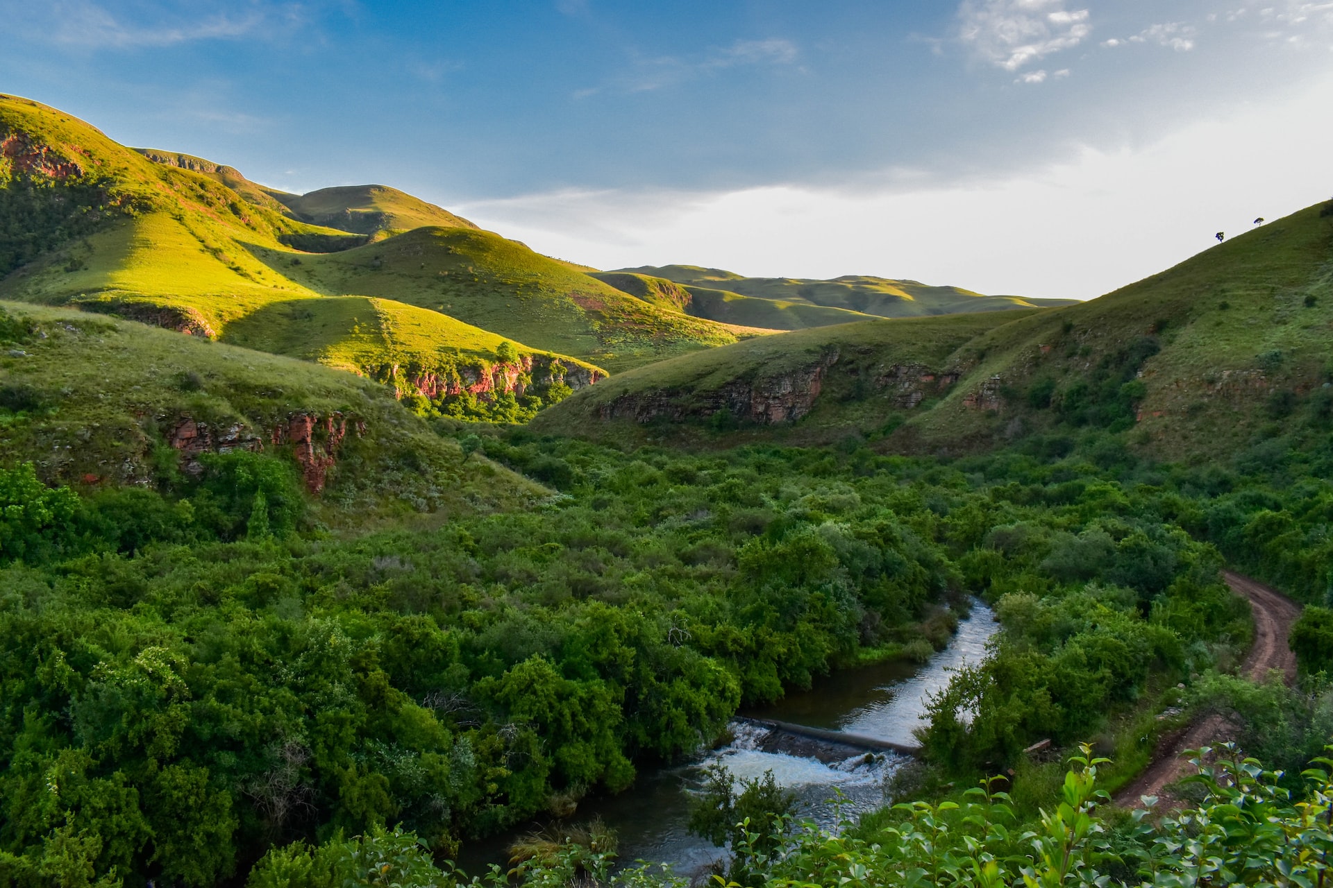 South Africa’s Biodiversity Funding Gap: Rethinking the Stewardship Financing Model