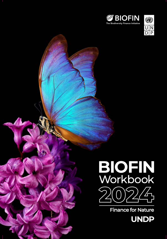 BIOFIN Workbook 2024