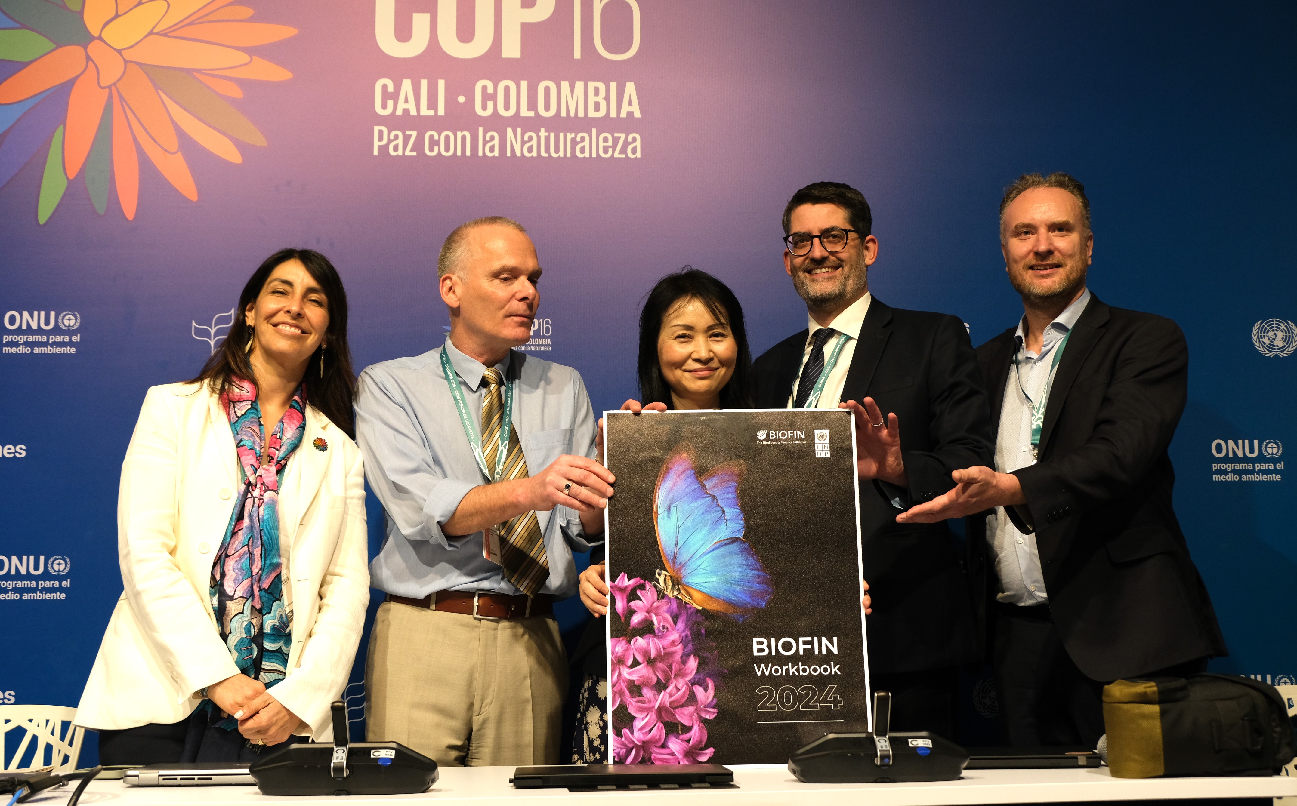 Photo: UNDP BIOFIN launches 2024 Workbook at the sidelines of COP16 