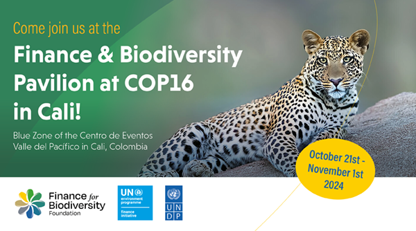 Finance for Biodiversity Foundation, UNEP FI and UNDP announce pavilion at COP16 Biodiversity Conference