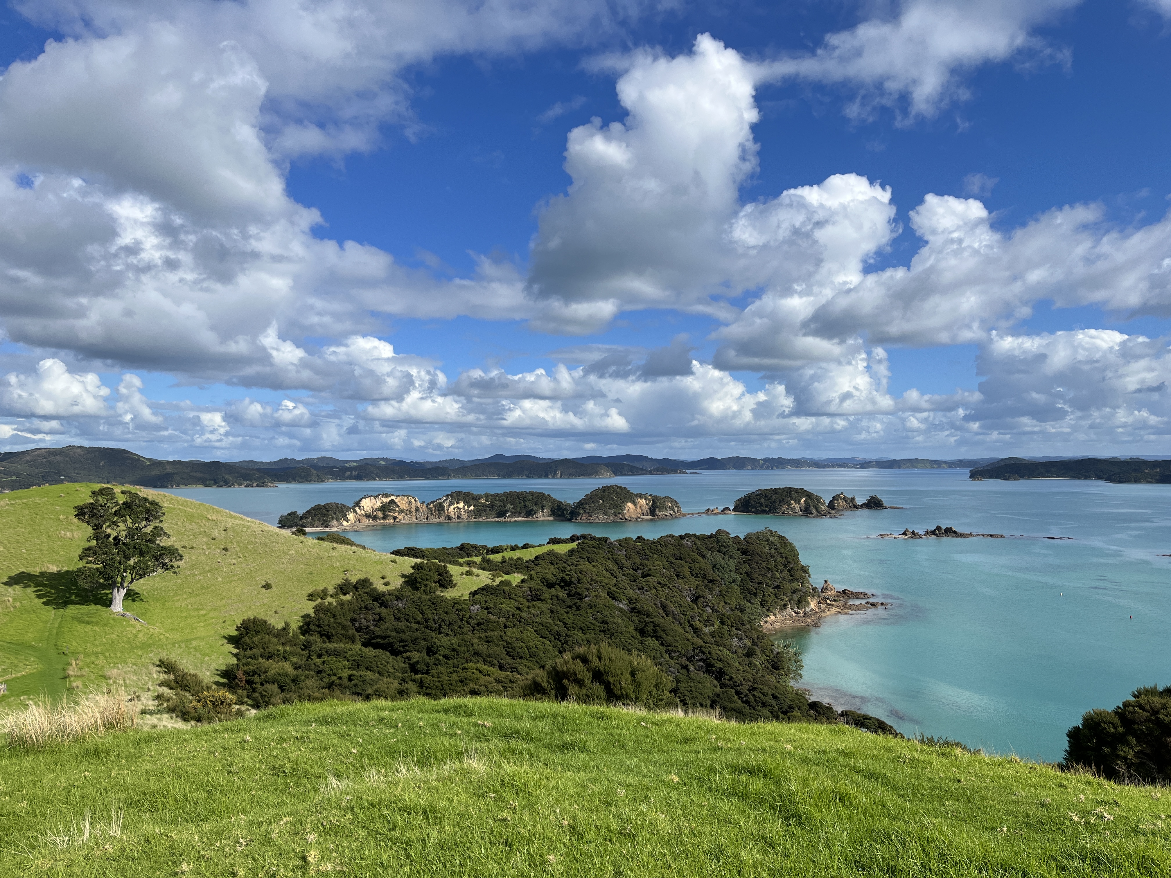 Photo credit: Amanda Sinclaire, Urupukapuka Island Reserve, Bay of Islands, New Zealand