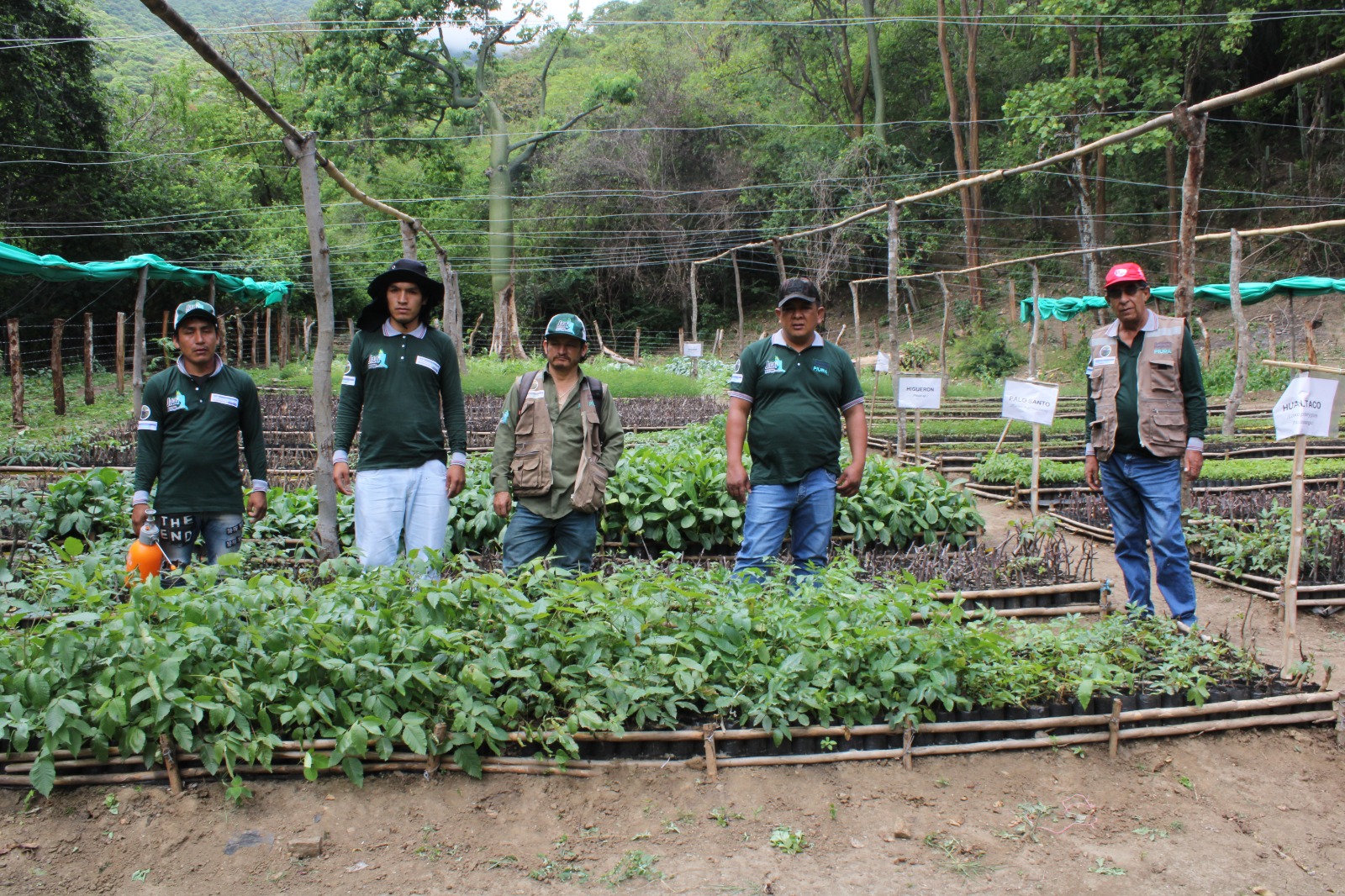 Photo caption: Recovery of Ecosystem Services of Water Regulation in the province of Ayabaca, Region of Piura, Peru 2023. Improvement of equipment and capacities for the production of native forest seedlings