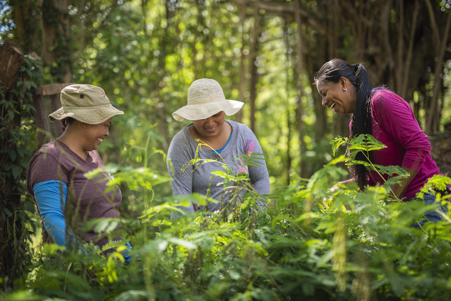 +Women +Nature Programme: putting women at the heart of biodiversity finance in Costa Rica  BIOFIN