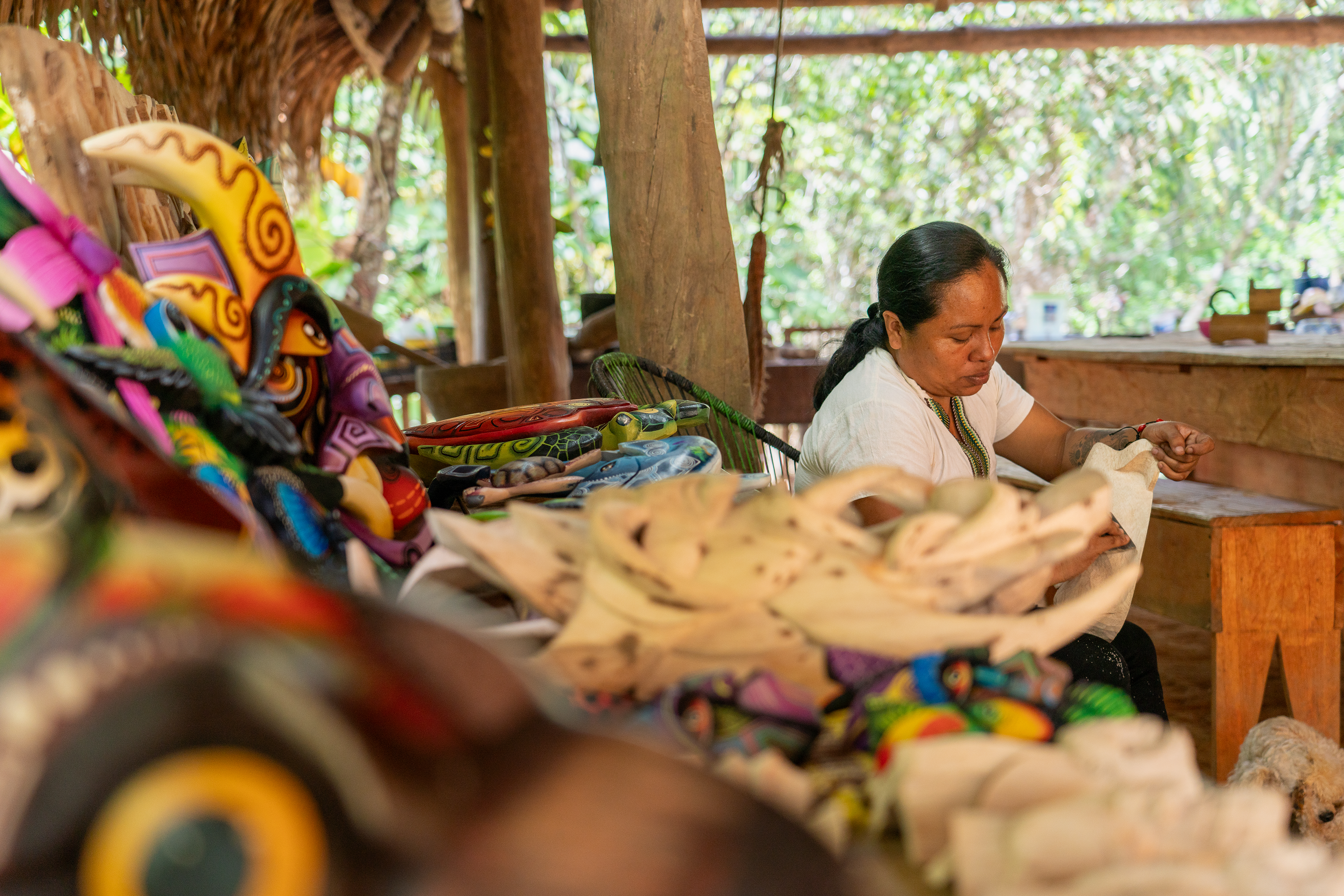 BIOFIN and Raices supports indigenous people in Costa Rica 