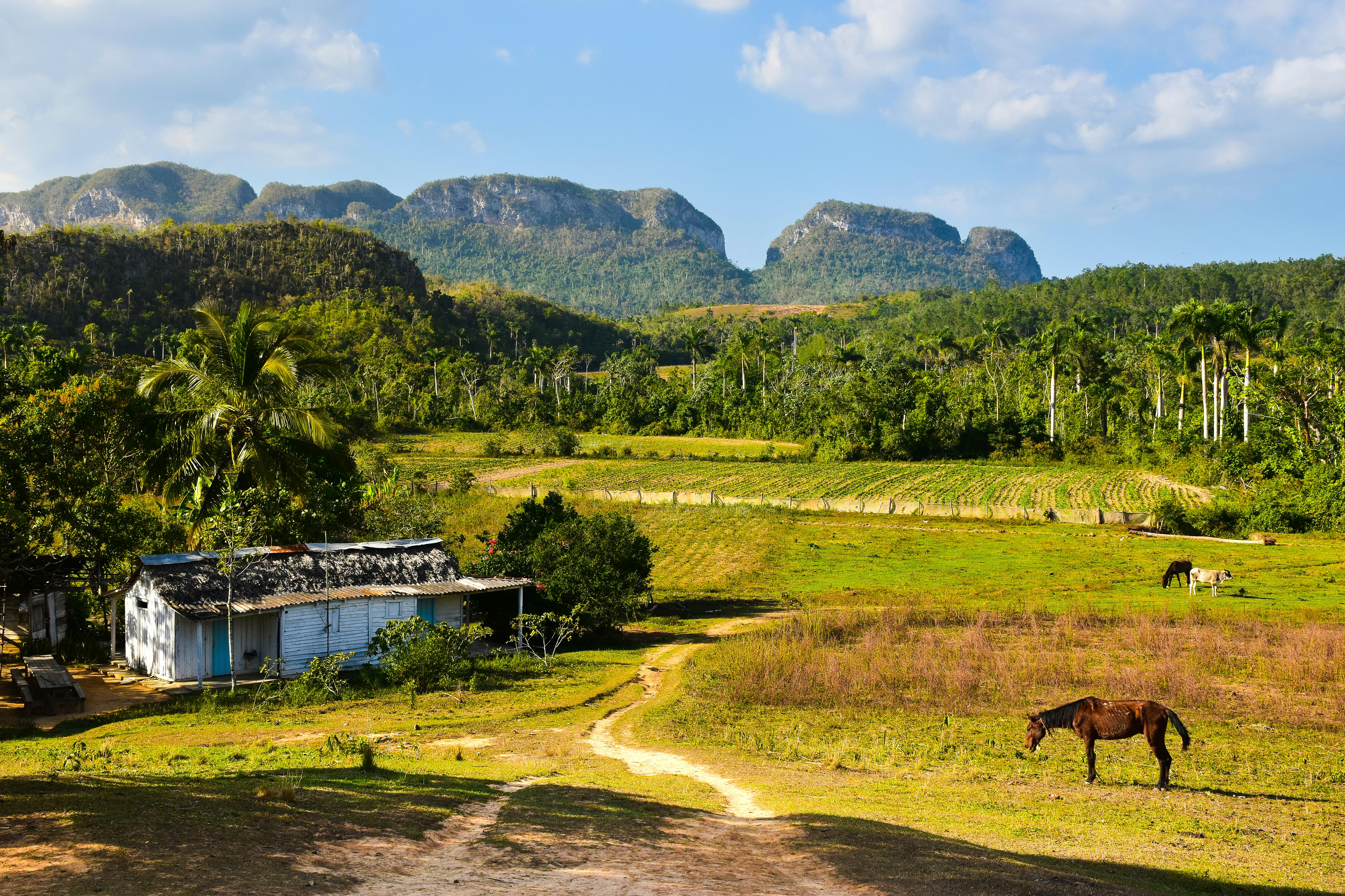 pexels-axp-photography-cuba-19573733.jpg