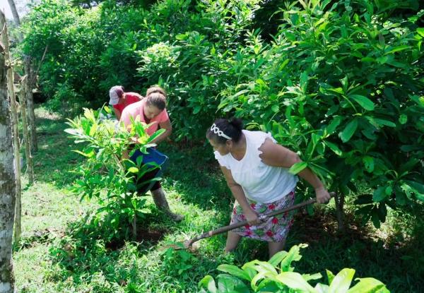 Cómo una campaña de crowdfunding en Costa Rica recaudó 1.8 millones de dólares para restaurar un bosque y crear cientos de empleos verdes