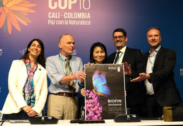 Photo: UNDP BIOFIN launches 2024 Workbook at the sidelines of COP16 