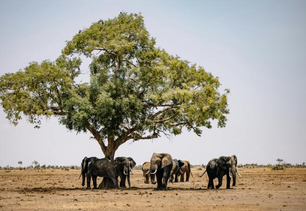 Botswana