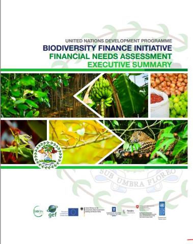 Biodiversity Financial Needs Assessment | BIOFIN