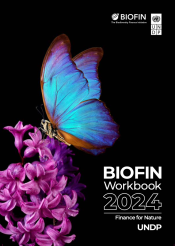 BIOFIN Workbook 2024