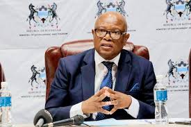 Wynter Boipuso Mmolotsi